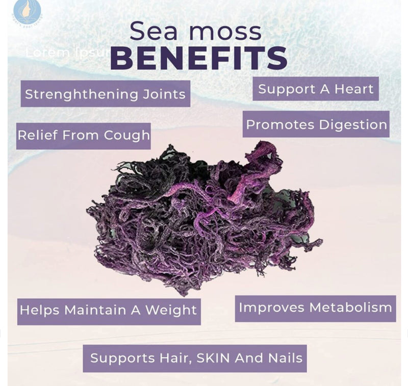 Purple Seamoss (Chondrus Crispus)