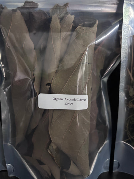 Avocado leaves