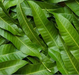 Mango leaves 75ct