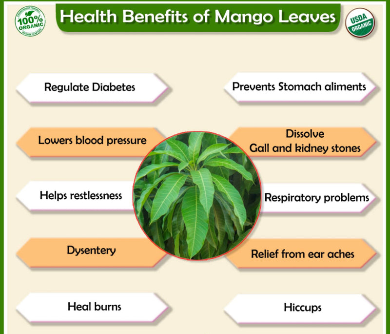 Mango leaves 75ct