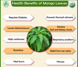 Mango leaves 75ct
