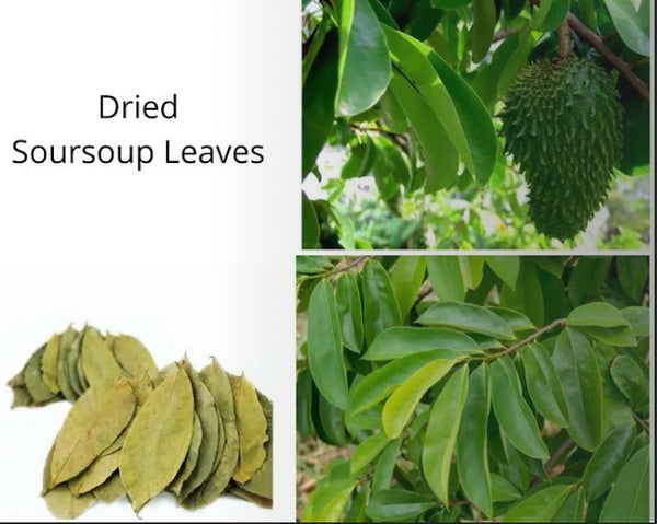 Soursop leaves 50ct (dehydrated)