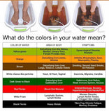 Ion Foot Detox