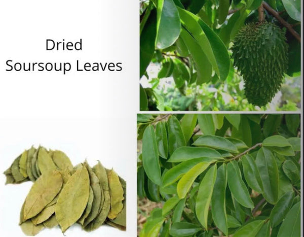 Soursop leaves 75ct (dried)